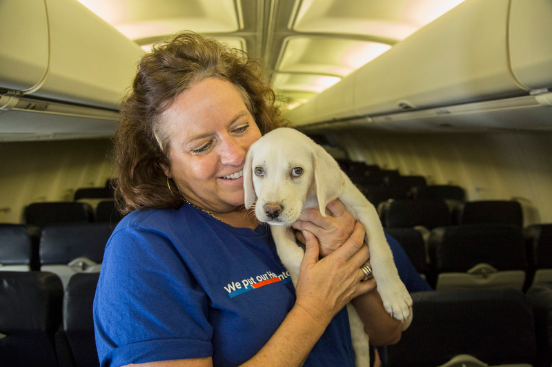 Illustration for article titled 64 Lucky Shelter Animals Got Flown Out Of Texas After Hurricane Harvey